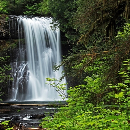 Фотообои Водопад в зелени B1-014 (3,0х2,7 м), Дивино Декор 1