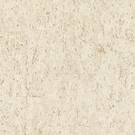 ���� Curiosity 538328, Rasch, �����-�������� 1