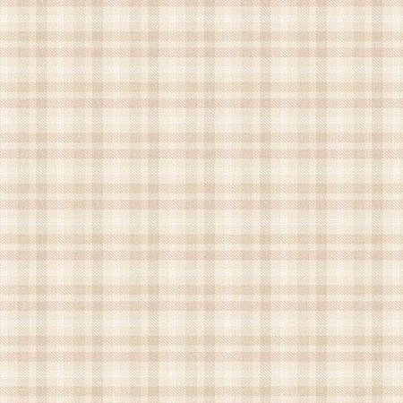 ���� Provasi 2403-2, Alessandro Allori, �����-�������� 1