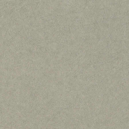 ���� Trend 947410, Rasch, �����-�������� 1